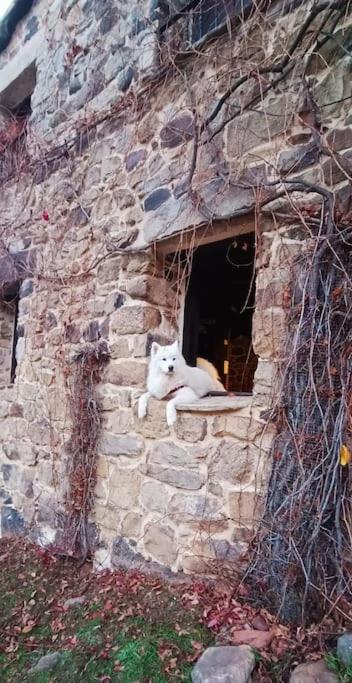 Casa Con Encanto Lagunanegra Y Urbion فينويسا المظهر الخارجي الصورة