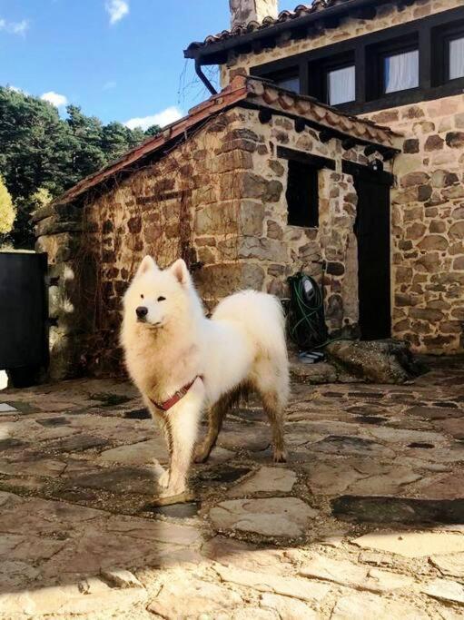 Casa Con Encanto Lagunanegra Y Urbion فينويسا المظهر الخارجي الصورة